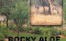 Rocky Aloe Escape